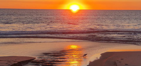 West Beach Lagoon 221 - Stylish Apartment! - eAccommodation 22