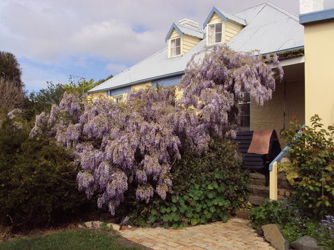 Orford's Sanda House B&B - eAccommodation 40