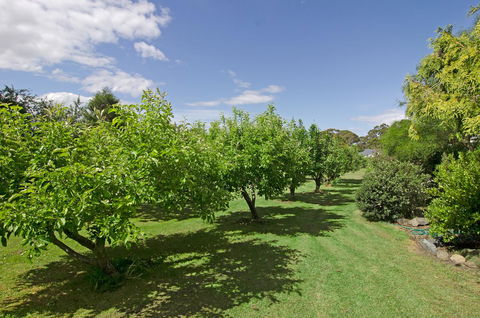 Orford's Sanda House B&B - eAccommodation 37