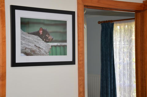 Castaway Holiday Apartments - eAccommodation 3