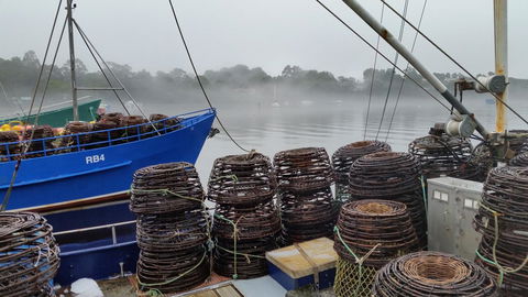 Castaway Holiday Apartments - eAccommodation 4