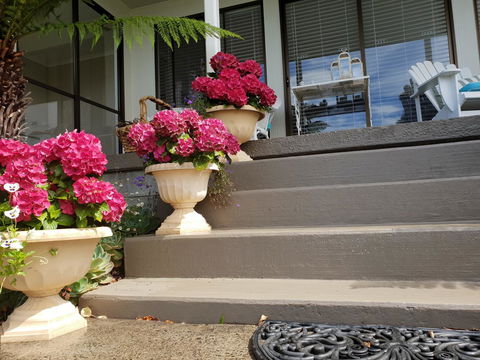 Garden By The Beach - Gateway To The East Coast, Close To Airport - eAccommodation 8