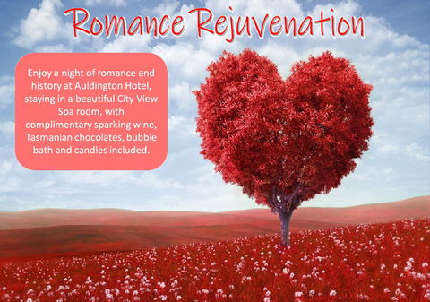 Auldington Hotel - eAccommodation 6