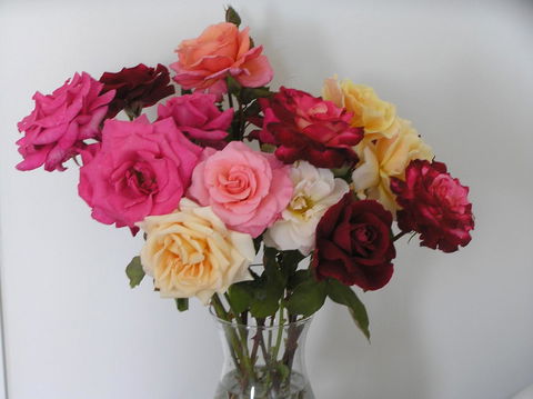 Auldington Hotel - eAccommodation 30