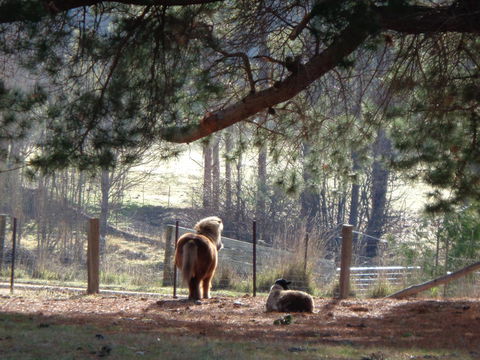 Post House Cottage - eAccommodation 17