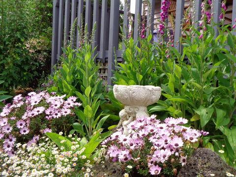 Post House Cottage - eAccommodation 19