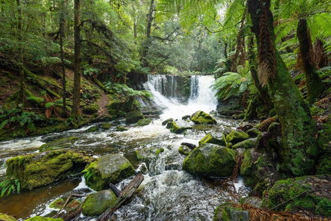 Post House Cottage - eAccommodation 22