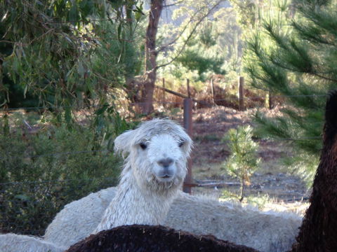 Post House Cottage - eAccommodation 21