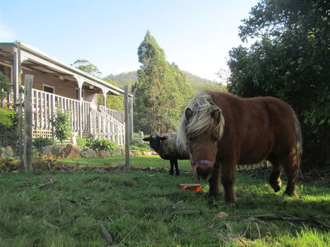 Post House Cottage - eAccommodation 3