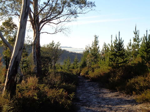 Post House Cottage - eAccommodation 24