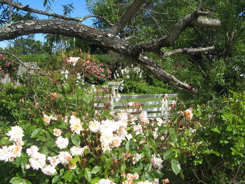 The Grove Cottages - eAccommodation 11