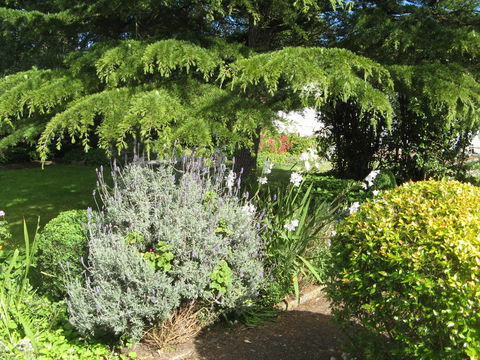 The Grove Cottages - eAccommodation 12