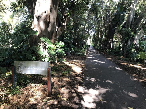 One Bedroom Cottage Close To Adelaide CBD - eAccommodation 3