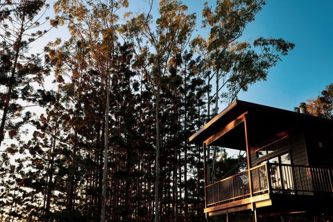 Rainforest Gardens - Luxury Hillside Chalets With Views To Bay & Islands - eAccommodation 2