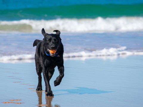 Ralph's Cottage Orion Drive Yamba - Pet Friendly Photos Available Shortly Free Wi-Fi - eAccommodation 1