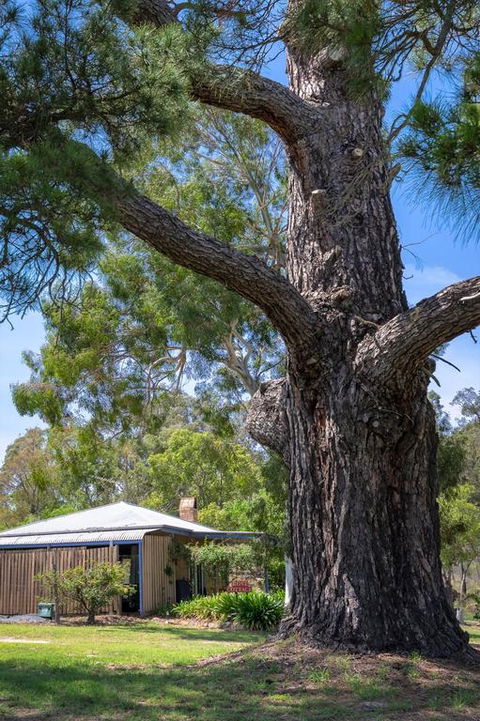 Rose Cottage - eAccommodation 3