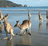 Seaforth Holiday Units - eAccommodation