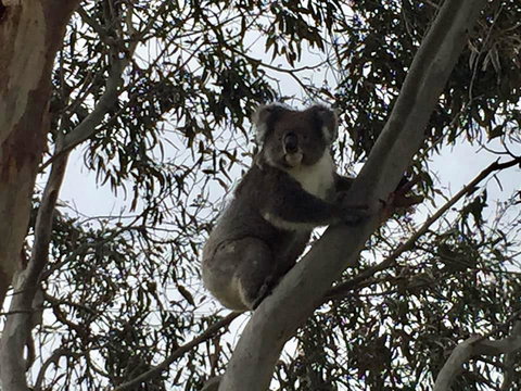 Seas The Day - eAccommodation 1