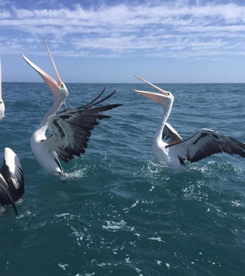 Seas The Day - eAccommodation 3