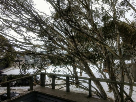 Secret Hut - eAccommodation 1