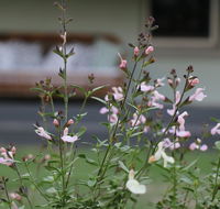 Serendipity on Allyn - eAccommodation