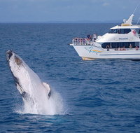 Shelly Beach Motel - eAccommodation