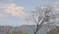 Book Mount Buller Accommodation Vacations eAccommodation eAccommodation