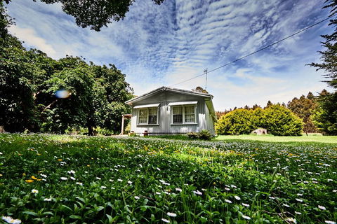 Tarkinegrove - eAccommodation 0