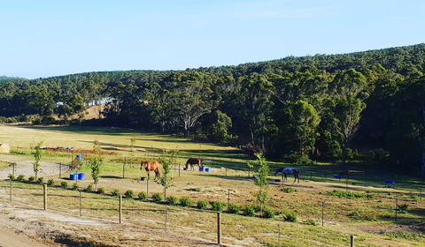 Lockleigh Park - eAccommodation 19