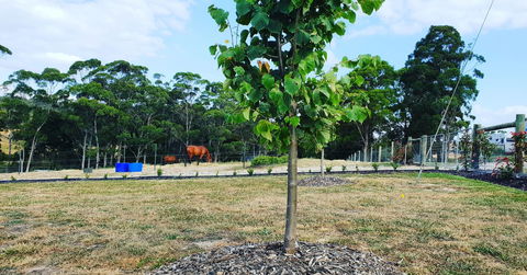 Lockleigh Park - eAccommodation 5