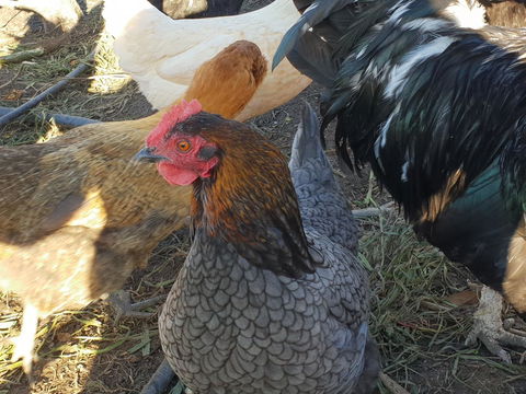 Lockleigh Park - eAccommodation 27