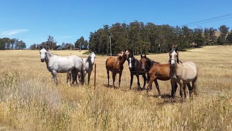 Lockleigh Park - eAccommodation 28