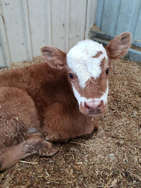 Lockleigh Park - eAccommodation 25