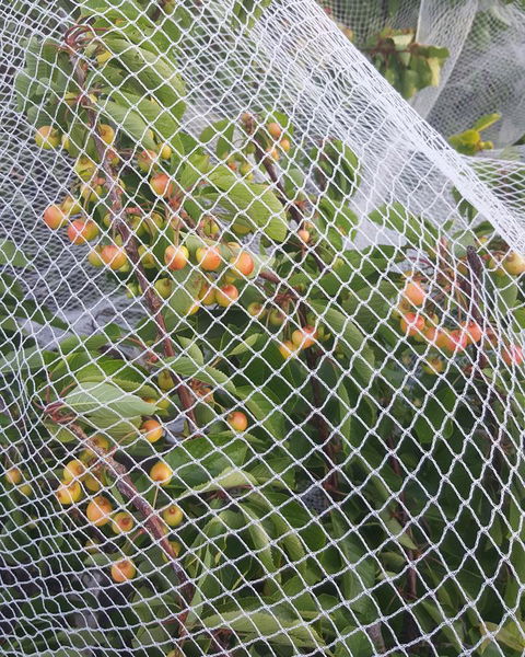 AppleBay Guest House - eAccommodation 30