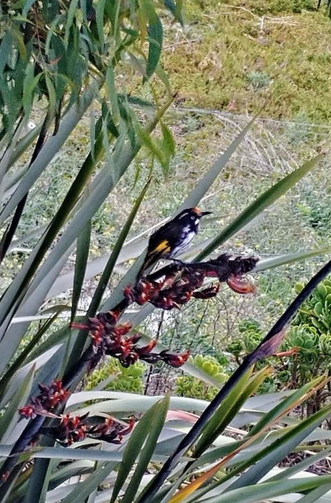 The View 2 Bed Unit With Stunning Hobart Outlook - eAccommodation 22