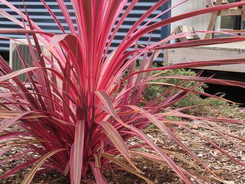 Captain Cook Holiday Park - eAccommodation 15