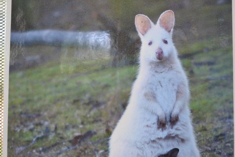 Captain Cook Holiday Park - eAccommodation 22