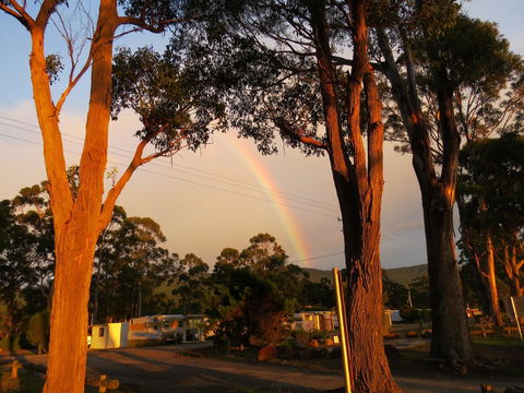 Captain Cook Holiday Park - eAccommodation 12