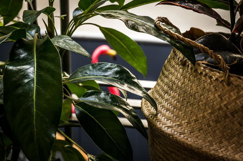 Alabama Hotel Hobart - eAccommodation 25