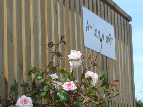 Ar Lan Y Mor - eAccommodation 12