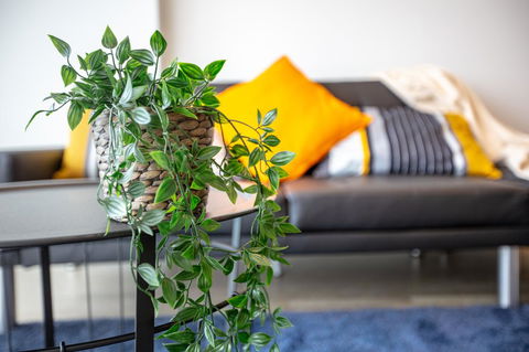 Brand New One/Two - Bed Room Apartment @ Maribyrnong - eAccommodation 0