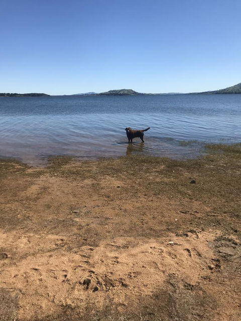 Snow View Holiday Units - eAccommodation 25