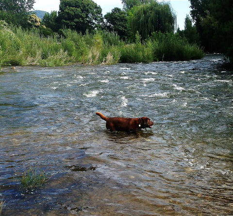 Snow View Holiday Units - eAccommodation 23