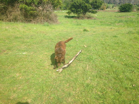 Snow View Holiday Units - eAccommodation 24