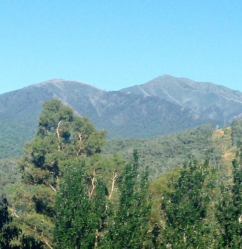 Snow View Holiday Units - eAccommodation 5