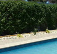 Robinvale Bridge Motel - eAccommodation