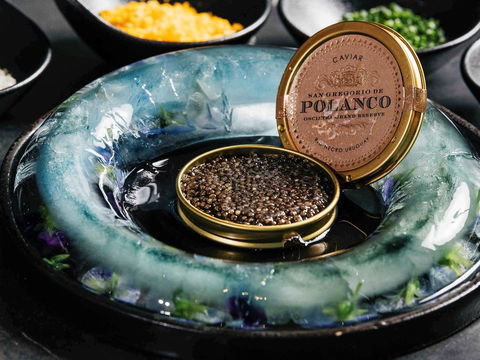 Sofitel Melbourne On Collins - eAccommodation 41