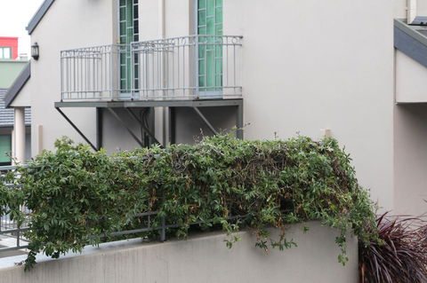 Quality Inn & Suites The Menzies - eAccommodation 23