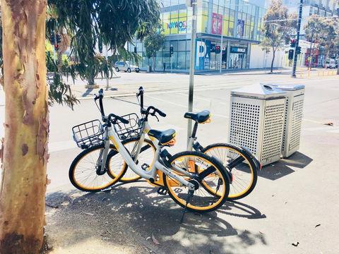 Water Views, Lovely 2BRs, Free Tram Zone, Close To Everything! - eAccommodation 15