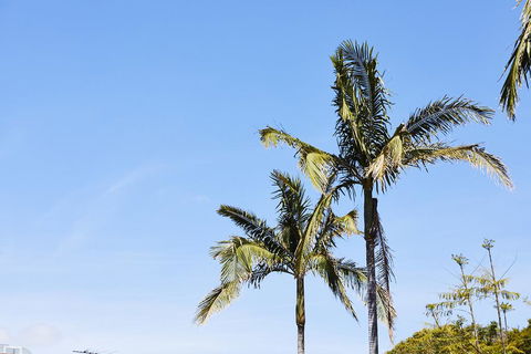 Town And Country Motel - eAccommodation 1